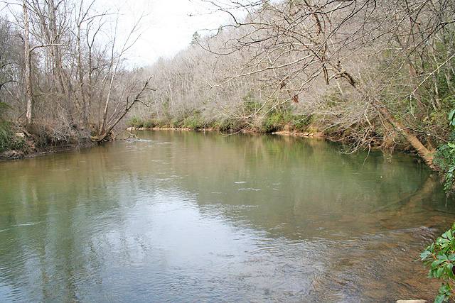 Chestatee River property for sale